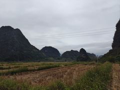 -钟山水墨田园