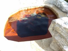 -大连金石滩绿发温泉假日酒店