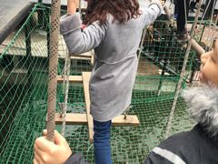 -梦幻奥陶纪景区