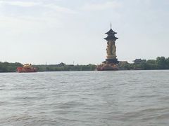 -溱湖国家湿地公园