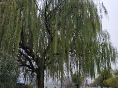 -艾溪湖湿地公园