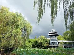 -金鸡湖桃花岛