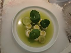 -Tomacado花厨(One ITC店)