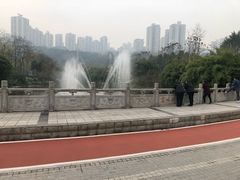 -龙头寺公园