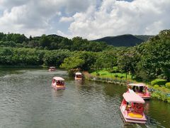 -大屏嶂森林公园