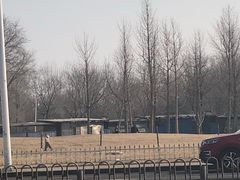 -塘沽森林公园