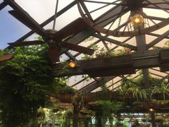 -The Grounds of Alexandria
