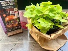-THE CANNERY&JUJU 新鲜海鲜·牛排美食酒廊