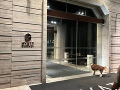 -上海崇明金茂凯悦酒店