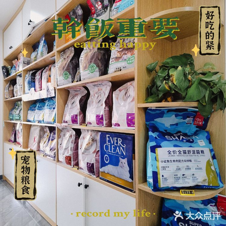 探店 ‖ 一起养宠物,一起快乐吧~