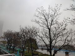 -秋水广场音乐喷泉