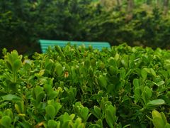-大连植物园