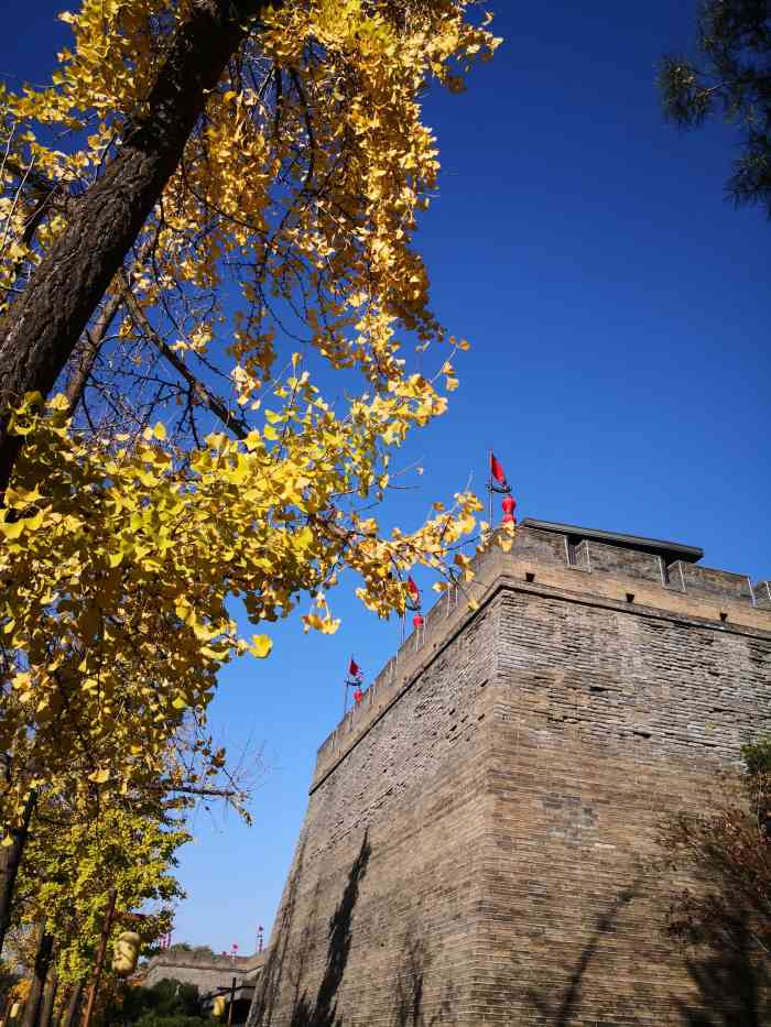 环城西苑公园-"环城公园好久没来了,走在河堤路上,看着绿.