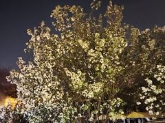 -华声天桥民俗文化园