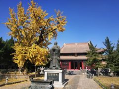 -苏州文庙(姑苏区)