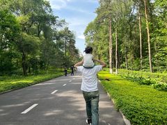-黑龙江省森林植物园