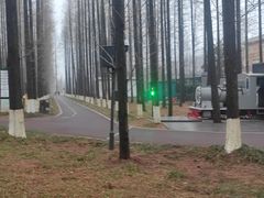 -黄海国家森林公园