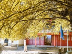 -大慈岩风景区