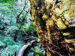 -牛背梁国家森林公园