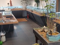 -阜昌典当行(阜成门店)