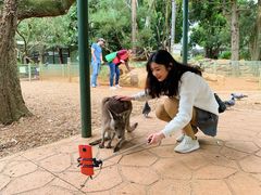 -费瑟代尔野生动物园