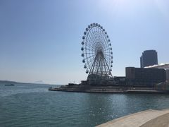 -琴岛之星摩天轮