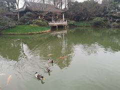 -杭州西子湖四季酒店·金沙厅