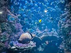 -海合安青岛极地海洋公园