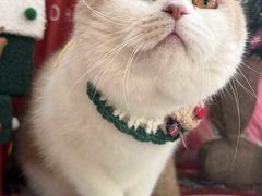 -宠颐生汉谟拉比宠物医院