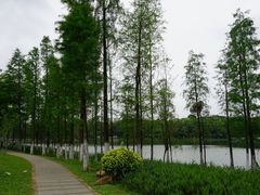 -东莞植物园