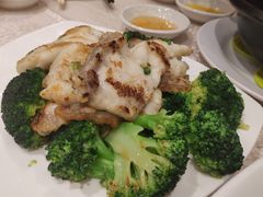 西兰花炒龙趸件-海港酒家(翔龙湾广场店)