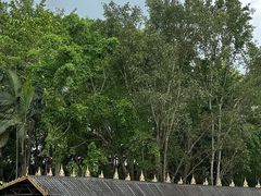 -西双版纳傣族园
