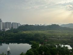 -广州汇华希尔顿逸林酒店