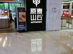 -远洋未来汇