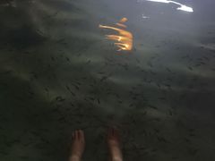 -碧水湾温泉