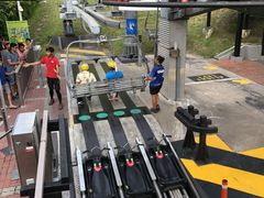 -圣淘沙天际线斜坡滑车