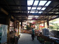 -大鹅岛绿色生态美食园
