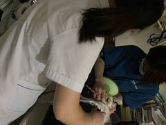 -乐派堂宠物医院·猫友好· 心脏科(东街店)