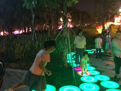 -映月湖公园