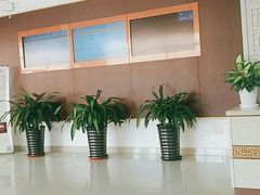 -上海中医药大学附属曙光医院(东部)