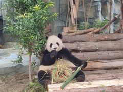 -泉州海丝野生动物世界