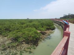 -北海金海湾红树林生态旅游区