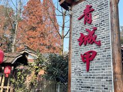 -青城甲(青城山店)