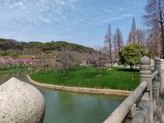 -苏州上方山国家森林公园