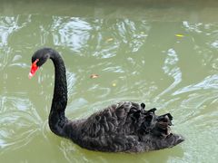 -上海交通大学(闵行校区)