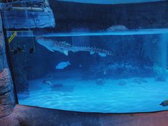 -沈阳海洋探索中心