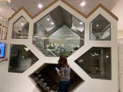 -艾米茉亲子餐厅(万象城店)