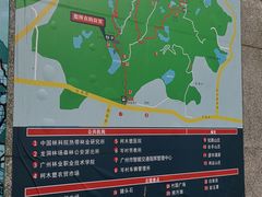 -火炉山森林公园