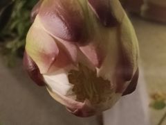 -胖大嫂渔家排档·全海景餐厅(渔村店)