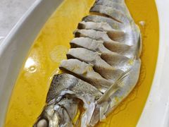 鸡汁大白鱼-食悦江南·淮扬菜·烤鸭(亚运村·惠新店)